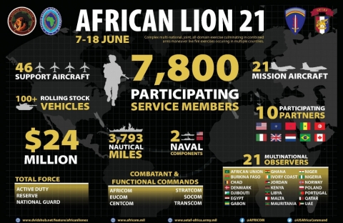 USA Morocco African Lion 21 480